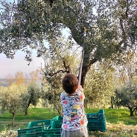 La Spagna * بستويا